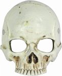 Vaulted Skulls & Co Face Mask Foam Skull | White Skull