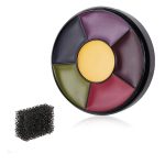 Go Ho 6 Colors Bruise Makeup Set for SFX,Bruises Wheel