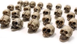 BinaryABC Mini Skull Figurine Miniature Skeleton Head