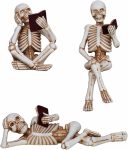 3 Pieces Halloween Skeleton Statue Halloween Skull