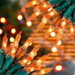 Hopolon Orange Halloween Lights, 2PACK 13ft 50 Orange