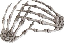 XONOR Halloween Skeleton Hands - Realistic Life Size