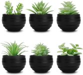 Der Rose Set of 6 Succulents Plants Artificial in Pots