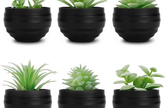 Der Rose Set of 6 Succulents Plants Artificial in Pots