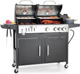 Captiva Designs Propane Gas Grill and Charcoal Grill