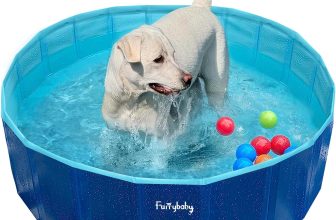 Furrybaby Foldable Dog Pool, Small Dog Swimming Pool