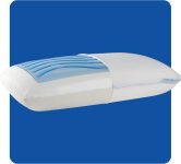 Sealy Dreamlife Standard Size Memory Foam Cooling
