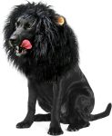Onmygogo Lion Mane Wig for Dogs with Ears, Funny Pet