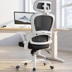 TRALT Office Chair - Ergonomic Office Chair with Back
