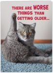 Funny Birthday cat photo card for women, men, mom, dad,