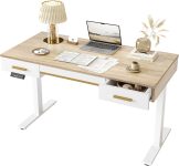 TIQLAB Electric Standing Desk with 3 Drawers, Height