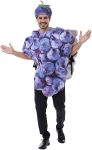 EraSpooky Adult Purple Grapes Bunch Costume with Hat,