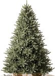 Balsam Hill 7.5 ft Unlit Classic Blue Spruce -