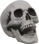 MOKRY PARTY Life Size Skeleton Skull for Halloween