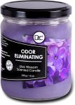 Lilac Blossom Odor Eliminating Highly Fragranced Candle